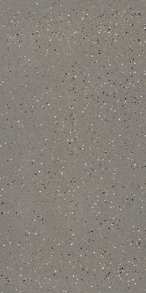 Mosaic Polish Fossil