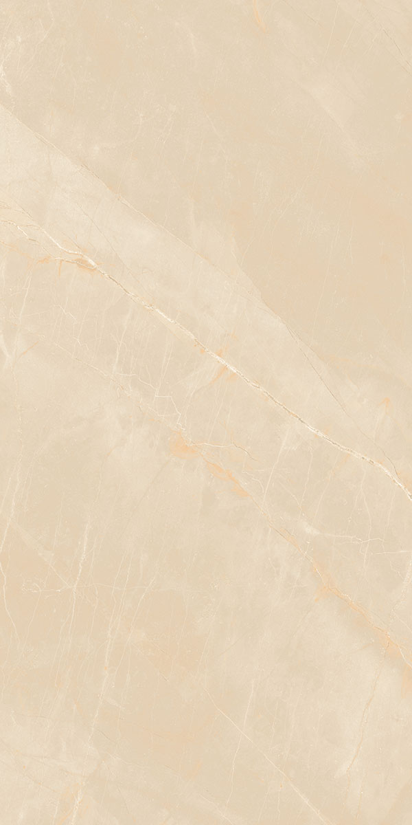 ARMANI BEIGE R2