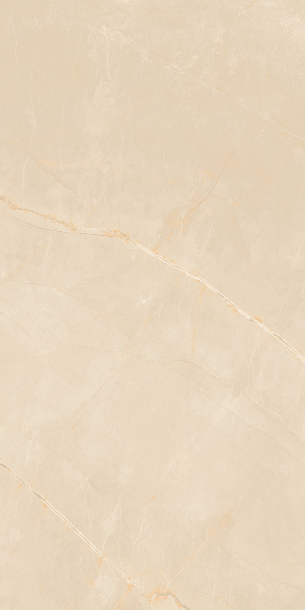 ARMANI BEIGE R4